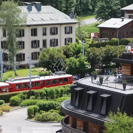 Mont-blanc Idealement Situe * Chamonix Mont Blanc